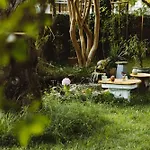 Bed & Breakfast Theo Et Marion Ostal - & Yoga