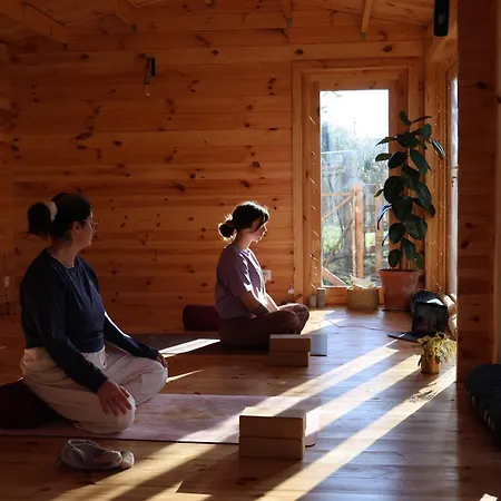 Theo Et Marion Ostal - & Yoga