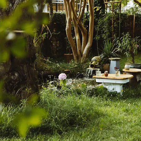 Bed & Breakfast Theo Et Marion Ostal - & Yoga