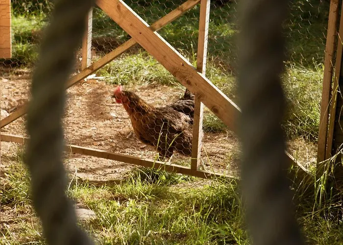 Alojamento de Acomodação e Pequeno-almoço Maison D'hôtes&yoga, Théo&marion Ostal Lahontan